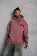 Erkek Şapkalı Güvercin Baskılı Kapşonlu Sweat - Gül Kurusu