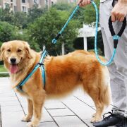 BUFFER® Reflektörlü Fosforlu Köpek Gezdirme Halatı Tasma Kayışı Metal Kancalı 130 cm