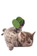 BUFFER®  Mini Silindir Eğlenceli Renkli Sağlam Küçük Pati İzi Şekilli Kedi Oyuncağı