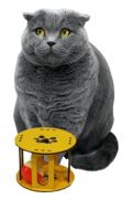 BUFFER® Ahşap Kafes Renkli Toplu Kedi Patisi Desenli Sesli Kedi Oyuncağı