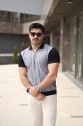 Erkek Polo Yaka Fermuar Detaylı Çizgili Tişört