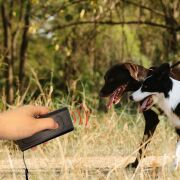 BUFFER® Ultrasonik Köpek Kovucu  ve Eğitici Cihaz