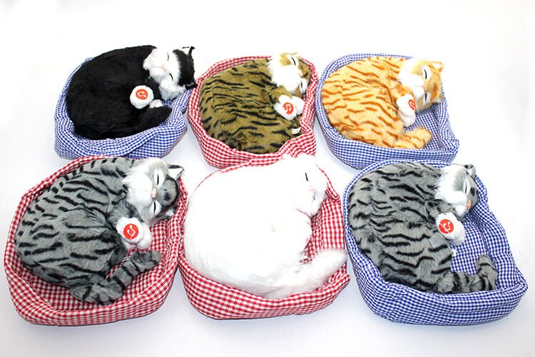 Horlayan Yastıkta Uyuyan Kedi Sesli